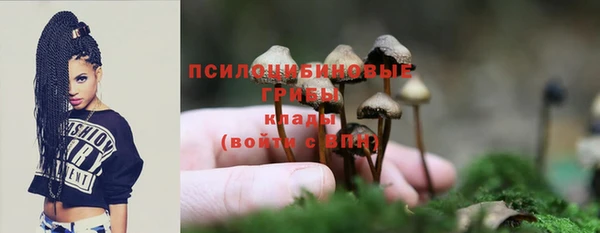 apvp Абинск
