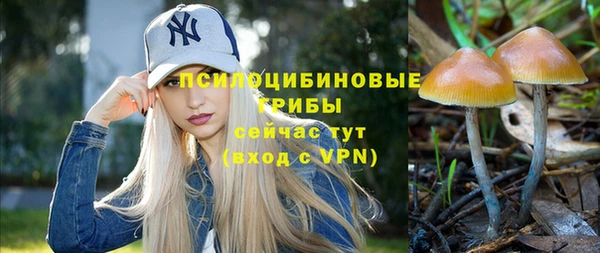 apvp Абинск