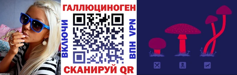 Галлюциногенные грибы Psilocybe  ОМГ ОМГ ссылка  Зеленогорск 