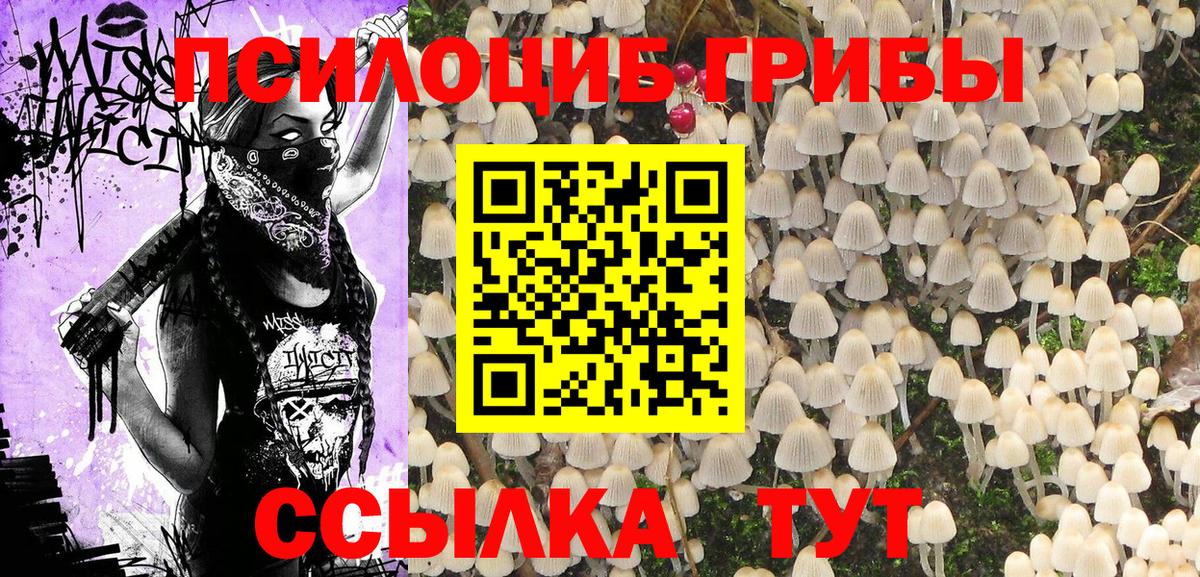 Псилоцибиновые грибы Magic Shrooms Зеленогорск